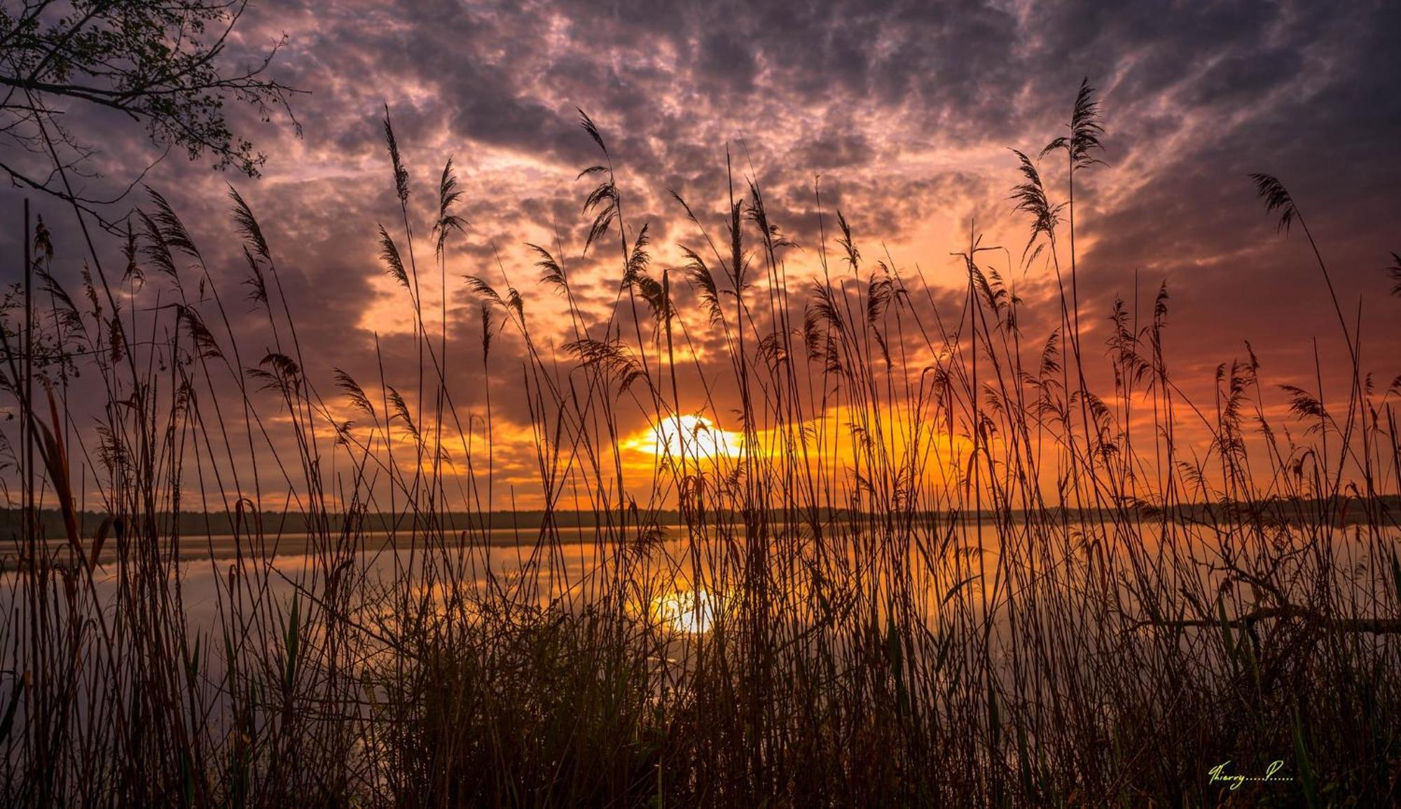 Vk Lake Aureilhan  Εξωτερικό φωτογραφία